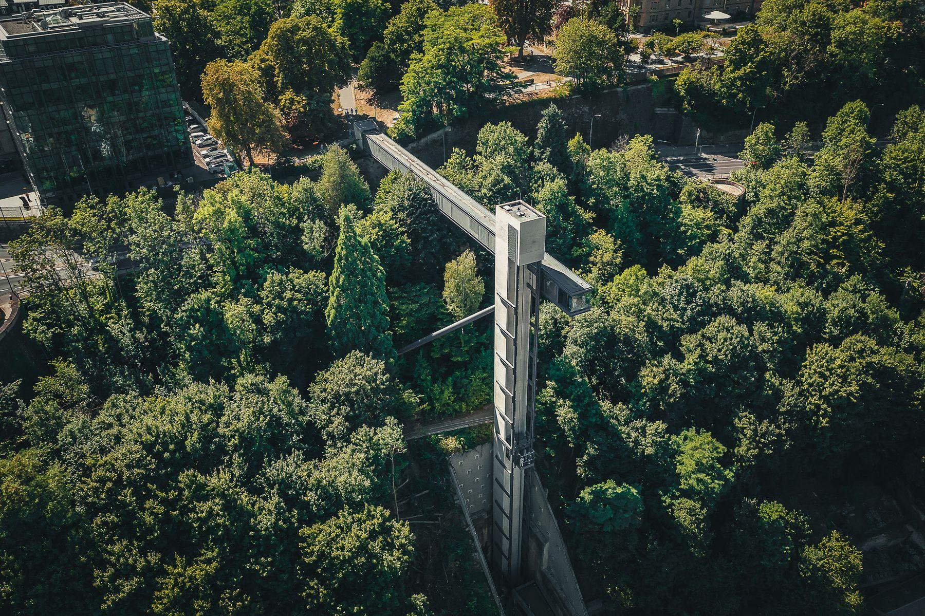 Ascenseur dans la forêt